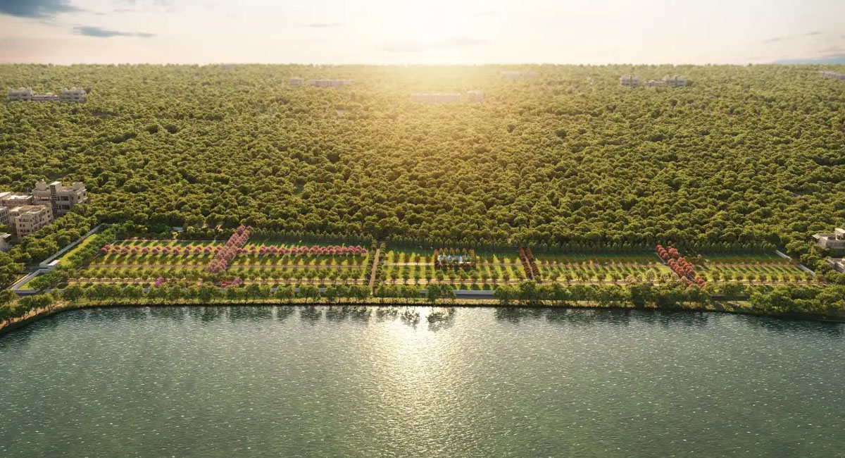 Megazone Wild Grove Managed Farm Land near Bangalore