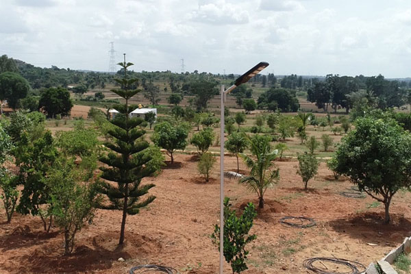 Ankur Resort Farm Plots near Bangalore: Farm Layout